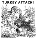 turkey_attack.gif (44289 bytes)