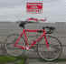 Campy Only's Fixed Gear