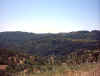 Image0368_800.jpg (104576 bytes)