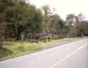 Image0019.jpg (106636 bytes)