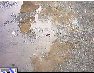 Click for Video