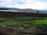 IMG_2149_800.jpg (156120 bytes)