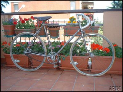 May 30, 2002--How much would a paris roubaix logo. May 30, 2002--How much would a