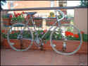 old_paris_roubaix.jpg (29590 bytes)