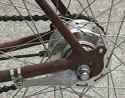 coasterbrake.jpg (56737 bytes)