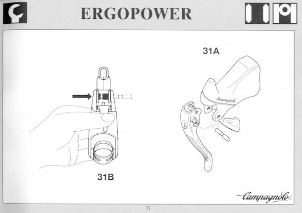 (Source: Campagnolo SRL)