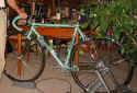 Lisas_bike1.jpg (141827 bytes)