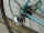 Bianchi_22601.jpg (110830 bytes)