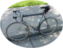 bottecchia.jpg (56062 bytes)