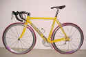 cannondaleyellow.jpg (53317 bytes)