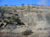 IMG_2301_800.jpg (215911 bytes)