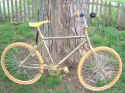 gold_bike_1.jpg (38637 bytes)