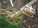 gold_bike_2.jpg (29991 bytes)