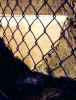 IMAGE0040.JPG