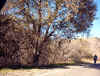 IMAGE0041.JPG