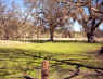 Image0085a.jpg (215632 bytes)