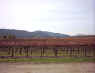 Image0088a.jpg (104251 bytes)