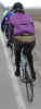 golden_hind.jpg (56021 bytes)
