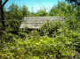 mini-IMG_0014.JPG (255687 bytes)