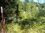 mini-IMG_0015.JPG (300934 bytes)