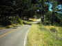mini-IMG_0030.JPG (223886 bytes)