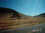 mini-IMG_0026.JPG (107485 bytes)