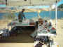 mini-IMG_0033.JPG (156343 bytes)