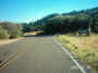 mini-IMG_0037.JPG (200791 bytes)