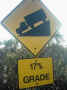 mini-IMG_0048.JPG (116146 bytes)