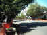 mini-IMG_0016.JPG (200903 bytes)