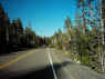mini-IMG_0031.JPG (201103 bytes)