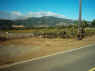 mini-IMG_0031.JPG (161570 bytes)