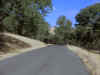IMG_1664_800.jpg (177945 bytes)