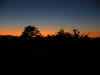 IMG_2356_800.jpg (71290 bytes)