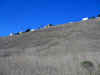 IMG_2425_800.jpg (129098 bytes)