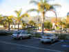 IMG_2440_800.jpg (193373 bytes)