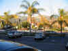IMG_2441_800.jpg (194936 bytes)
