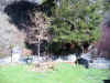 IMG_2390_800.jpg (289005 bytes)