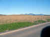 IMG_2402_800.jpg (129160 bytes)