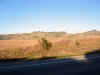 IMG_2411_800.jpg (109862 bytes)