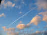 img_3173.jpg (69188 bytes)