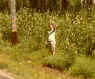 waving.jpg (387604 bytes)