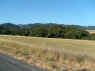 S7303636_1024.jpg (216345 bytes)