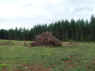 S7303729_1024.jpg (168772 bytes)