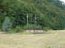 S7303748_1024.jpg (305783 bytes)