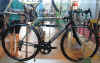 bianchi.jpg (179498 bytes)