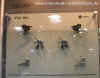 veloce_flat_gruppo.jpg (85221 bytes)