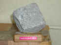 trophy.jpg (50824 bytes)